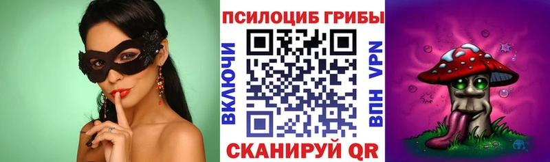 мега ССЫЛКА  Судогда  Псилоцибиновые грибы мицелий 